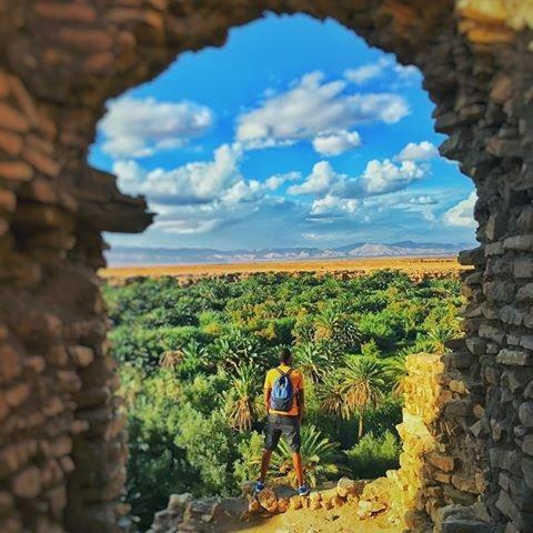 Kasbah Tiriguioute Otel Skoura Dış mekan fotoğraf