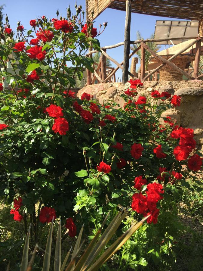 Kasbah Tiriguioute Otel Skoura Dış mekan fotoğraf
