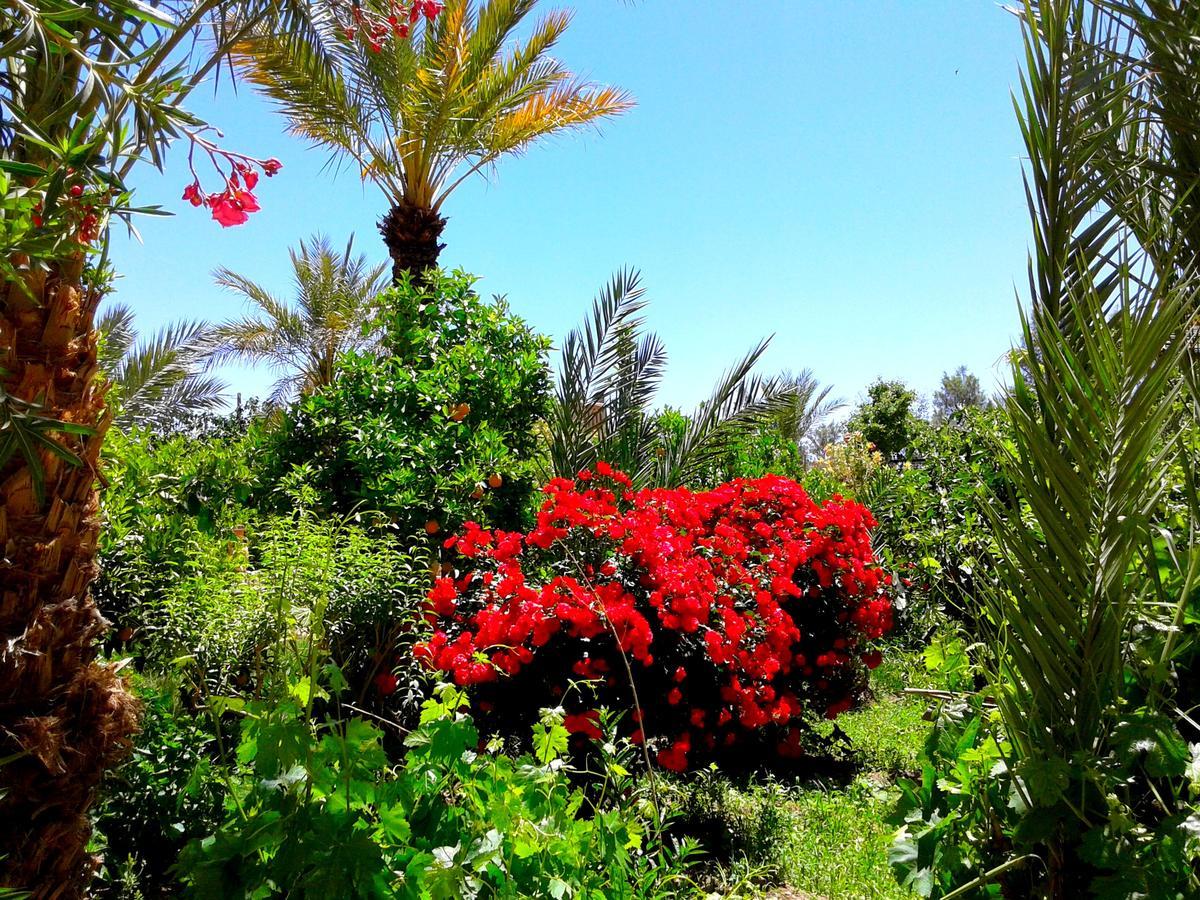 Kasbah Tiriguioute Otel Skoura Dış mekan fotoğraf