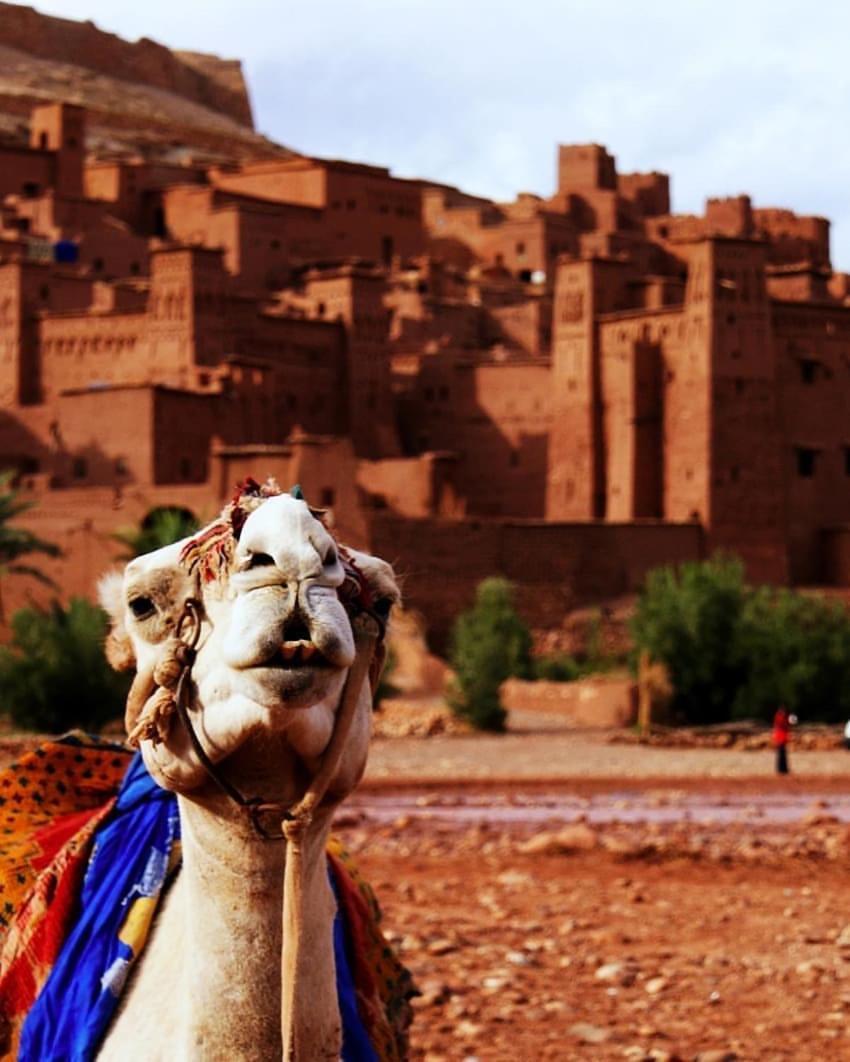 Kasbah Tiriguioute Otel Skoura Dış mekan fotoğraf